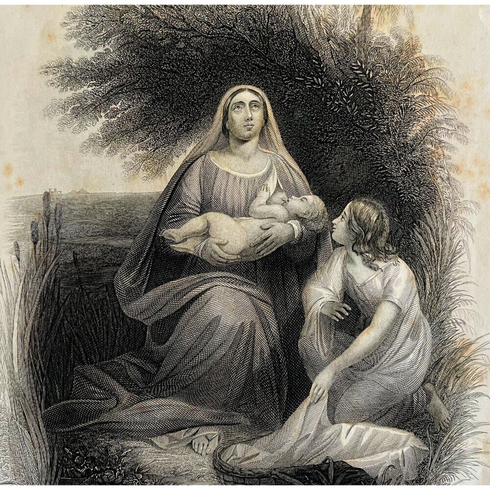 Baby Moses Bulrushes Steel Engraving 1872 Gustave Dore Victorian Art DWAA6